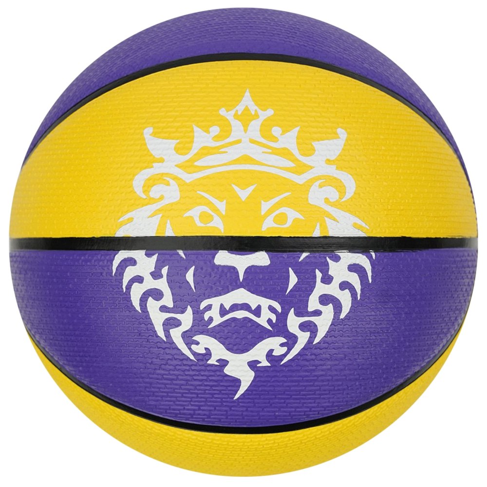 Nike Playground 2.0 8P L James Basketball Deflated