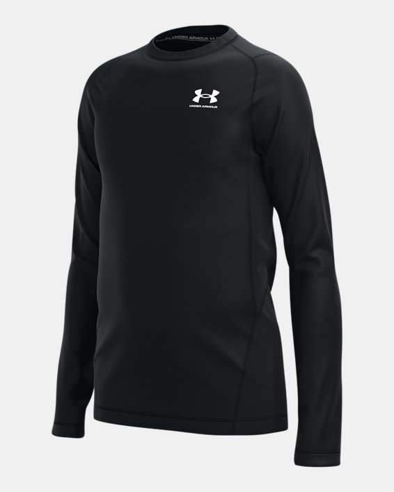 Under Armour Youth Heat Gear Armour Leggings – Sports Replay - Sports  Excellence