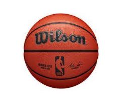 Wilson Nba Authentic Indoor Game Basketball Size 7-Wilson-Sports Replay - Sports Excellence