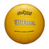 Wilson Soft Play Volleyball-Sports Replay - Sports Excellence-Sports Replay - Sports Excellence